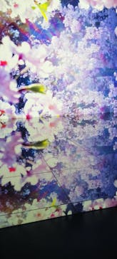 ぎふワールド・ローズガーデンに投稿された画像（2025/5/13）