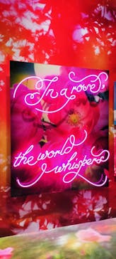 ぎふワールド・ローズガーデンに投稿された画像（2025/5/13）