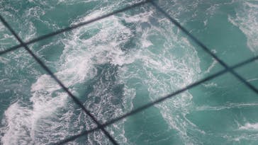 徳島県立 渦の道に投稿された画像（2025/5/13）