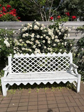 横浜イングリッシュガーデンに投稿された画像（2025/5/13）