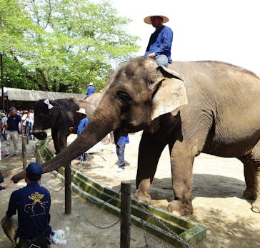 ANIMAL WONDER REZOURT 市原ぞうの国・サユリワールドに投稿された画像（2025/5/13）