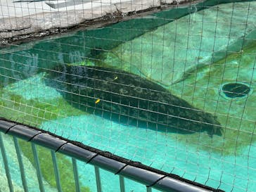 恩賜上野動物園に投稿された画像（2025/5/13）