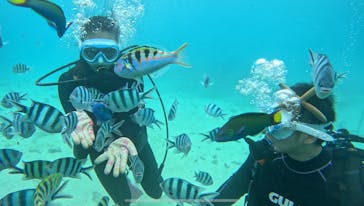 青の洞窟専門店　沖縄ダイビングショップ和に投稿された画像（2025/5/13）