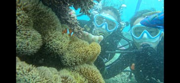 青の洞窟専門店　沖縄ダイビングショップ和に投稿された画像（2025/5/13）