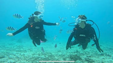 青の洞窟専門店　沖縄ダイビングショップ和に投稿された画像（2025/5/13）