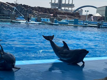 名古屋港水族館に投稿された画像（2025/5/13）