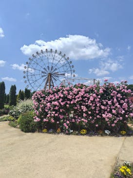 東武動物公園に投稿された画像（2025/5/13）