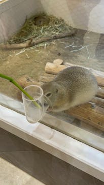 アニタッチららぽーと名古屋みなとアクルスに投稿された画像（2025/5/13）