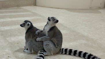 アニタッチららぽーと名古屋みなとアクルスに投稿された画像（2025/5/13）