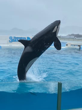 鴨川シーワールドに投稿された画像（2025/5/13）