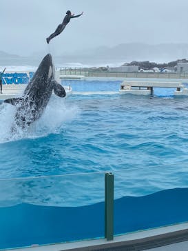 鴨川シーワールドに投稿された画像（2025/5/13）