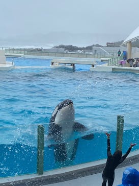 鴨川シーワールドに投稿された画像（2025/5/13）