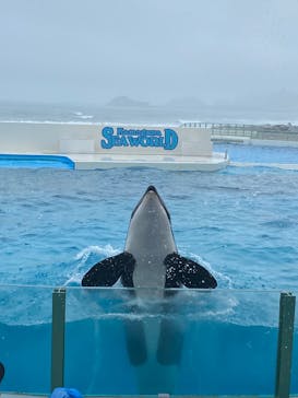 鴨川シーワールドに投稿された画像（2025/5/13）