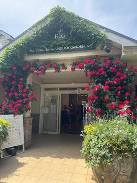 横浜イングリッシュガーデンに投稿された画像（2025/5/13）