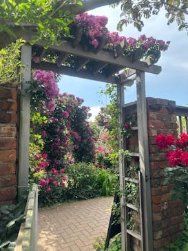 横浜イングリッシュガーデンに投稿された画像（2025/5/13）