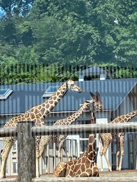 多摩動物公園に投稿された画像（2025/5/13）