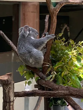 多摩動物公園に投稿された画像（2025/5/13）