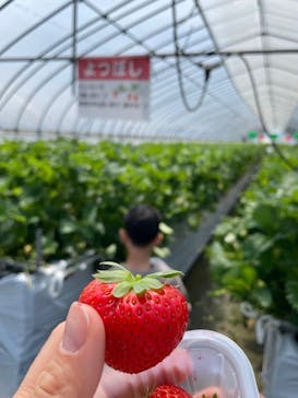 森ファームに投稿された画像（2025/5/13）