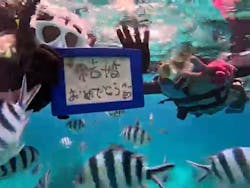 Simple marine service（シンプルマリンサービス）に投稿された画像（2025/5/13）