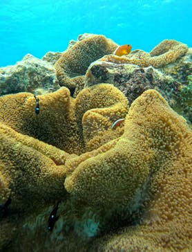 Simple marine service（シンプルマリンサービス）に投稿された画像（2025/5/13）