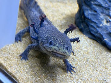 AOAO SAPPOROに投稿された画像（2025/5/13）