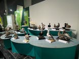 特別展「鳥～ゲノム解析が解き明かす新しい鳥類の系統～」に投稿された画像（2025/5/13）