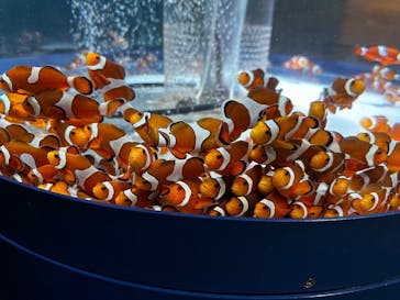 鴨川シーワールドに投稿された画像（2025/5/13）