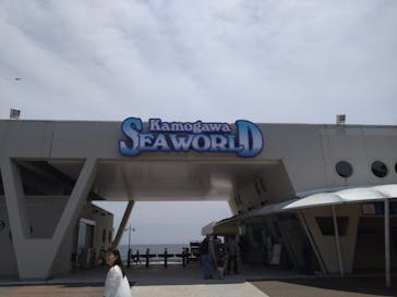 鴨川シーワールドに投稿された画像（2025/5/13）