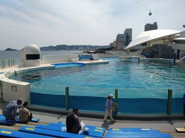 鴨川シーワールドに投稿された画像（2025/5/13）