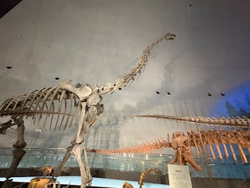 福井県立恐竜博物館に投稿された画像（2025/5/13）