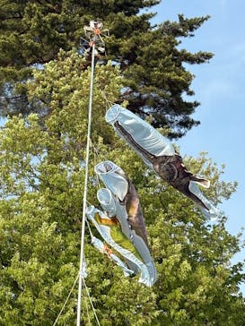 福井県立恐竜博物館に投稿された画像（2025/5/13）