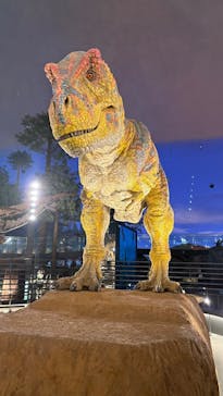 福井県立恐竜博物館に投稿された画像（2025/5/13）