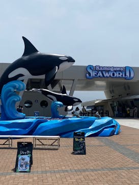 鴨川シーワールドに投稿された画像（2025/5/13）