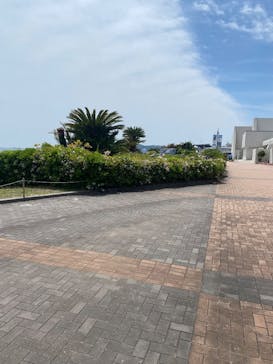 鴨川シーワールドに投稿された画像（2025/5/13）