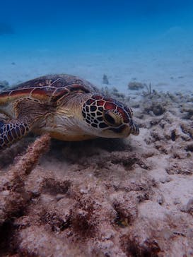 DRIFTER（ドリフター）に投稿された画像（2025/5/13）