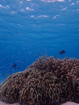 DRIFTER（ドリフター）に投稿された画像（2025/5/13）