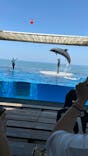 上越市立水族博物館 うみがたりに投稿された画像（2025/5/13）