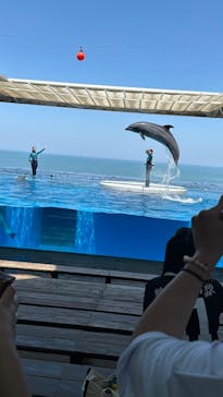 上越市立水族博物館 うみがたりに投稿された画像（2025/5/13）