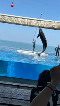 上越市立水族博物館 うみがたりに投稿された画像（2025/5/13）