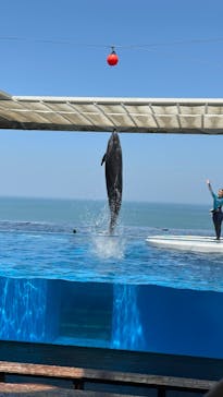 上越市立水族博物館 うみがたりに投稿された画像（2025/5/13）