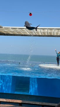 上越市立水族博物館 うみがたりに投稿された画像（2025/5/13）