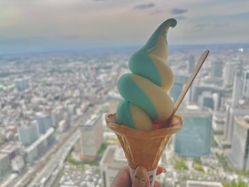 横浜ランドマークタワー 69階展望フロア スカイガーデンに投稿された画像（2025/5/13）