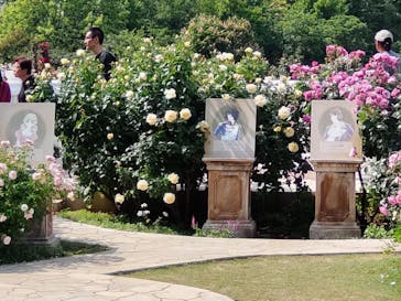 京成バラ園に投稿された画像（2025/5/13）