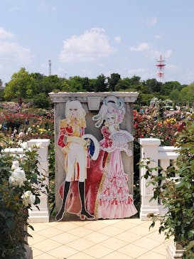 京成バラ園に投稿された画像（2025/5/13）