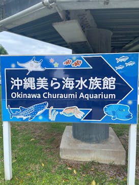 沖縄美ら海水族館に投稿された画像（2025/5/13）