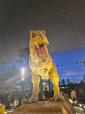 福井県立恐竜博物館に投稿された画像（2025/5/13）