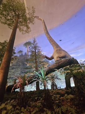 福井県立恐竜博物館に投稿された画像（2025/5/13）