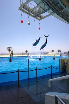 マリンワールド海の中道に投稿された画像（2025/5/13）