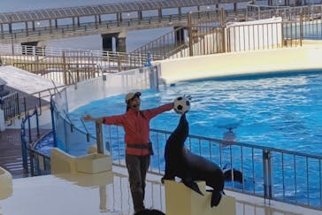 マリンワールド海の中道に投稿された画像（2025/5/13）