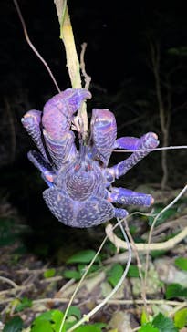 宮古島マリンショップSmileyに投稿された画像（2025/5/13）